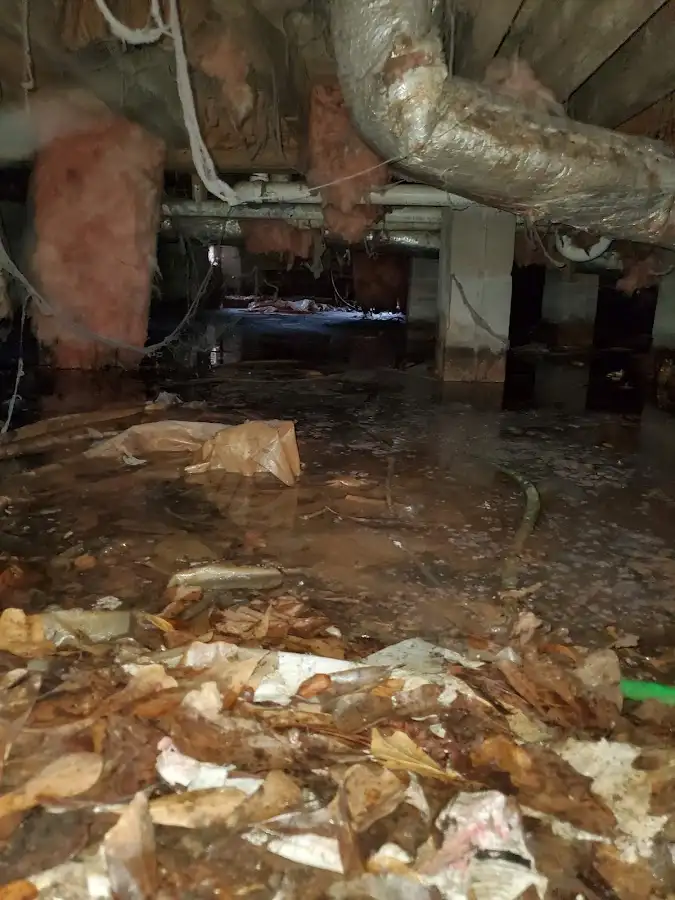 Crawl space flood assessment for Leak Detection & Repair in Menlo Park